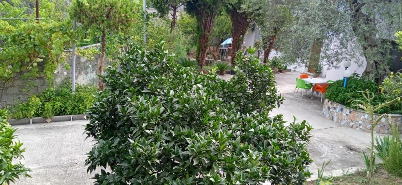 Green Oasis Holiday Home Вльора Екстер'єр фото
